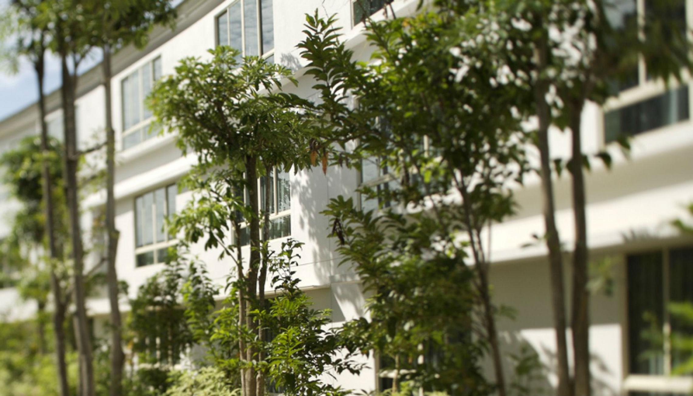 Amara Sanctuary Resort Sentosa Singapur Dış mekan fotoğraf